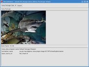 Normalised image file shown in the Xena viewer