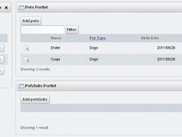 Generated Portlets already with some info.