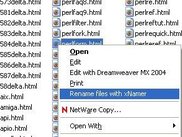 WindowsXP Explorer Integration