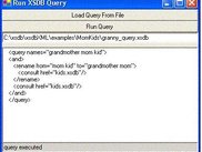 Simple query execution interface