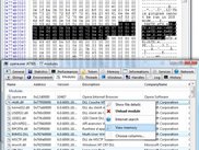 Hexadecimal editor