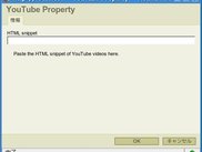 YouTube property(english)