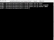 yncs usage (two).
