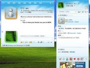 This shows how your friends on MSN see you.
