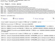 Virus.Win32.Nimnul.a (Kaspersky)'s signature