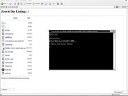 Zervit running on Windows/Internet Explorer