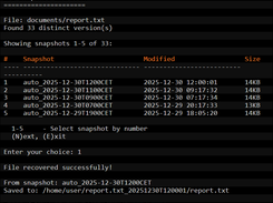 ZFS Snapshot Extractor