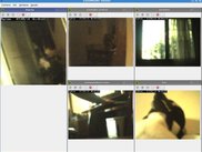 zmviewer 0.1