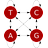 codonPhyML Icon