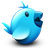 c:twee icon