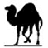 Demosten's Perl distribution for Windows Icon