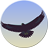 Eagle Mode icon