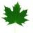 Eco Car icon