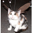 gcon4j Icon
