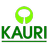 The Kauriproject Icon