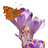LinuxPrinting - Krokus icon