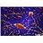 Nerv icon