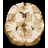 Nifty Reg icon