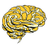 nipy icon