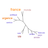 Nuage Arboré Icon
