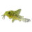 PolarFish icon