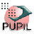 PUPIL icon