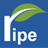 Ripe website manager (CMS) Icon