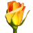 Rosegarden icon