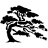 salix icon
