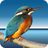 Highlight Code Converter icon