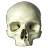 yorick Icon
