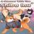 A Summer with the Shiba Inu