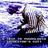 A Trip to Yugoslavia: Directors Cut