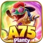 A75Planty