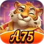 A75Touch