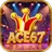 ACE67Soft Paw Puzzle