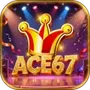 ACE67Soft Paw Puzzle