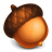 Acorn