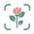 AI Plant Identifier Flower App