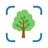 AI Tree Identifier: ID Trees