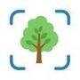AI Tree Identifier: ID Trees
