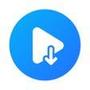 All Video Saver