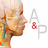 Anatomy and Physiology An Introduction to Body Structures