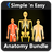 Anatomy Bundle by WAGmob