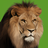 Animal Documentary