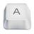Any Keylogger
