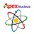 Apex.Nucleus