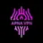APNA VPN