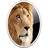 Apple Flashback Malware Removal Tool