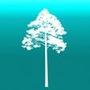 Arboreal - Tree